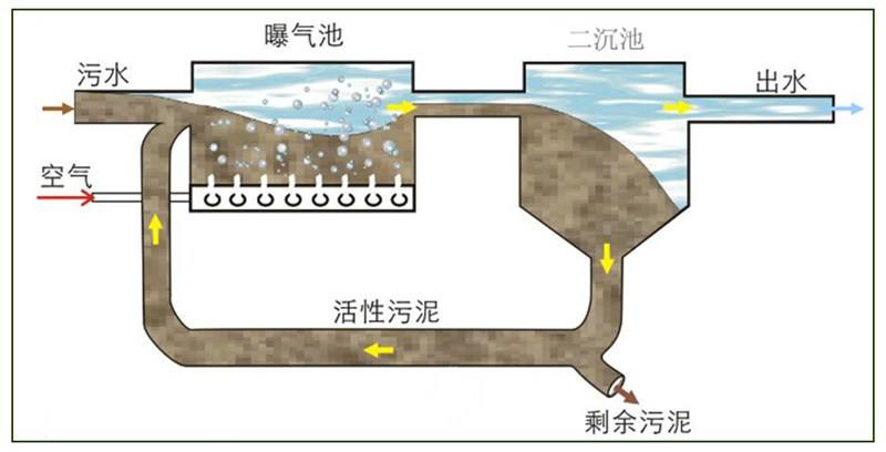 活性污泥處理流程圖 活性污泥處理流程圖
