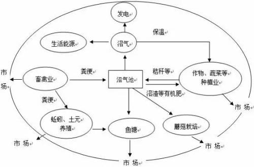 種養(yǎng)結(jié)合模式 種養(yǎng)結(jié)合模式