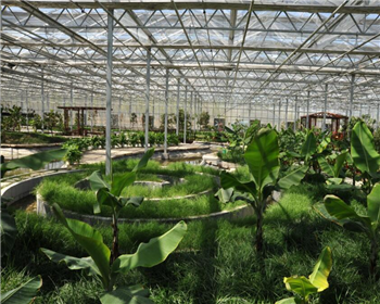 養(yǎng)殖大棚客戶(hù)見(jiàn)證