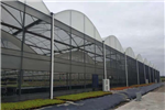 建四川溫室大棚時，如何規(guī)避溫室大棚滴水的現(xiàn)象