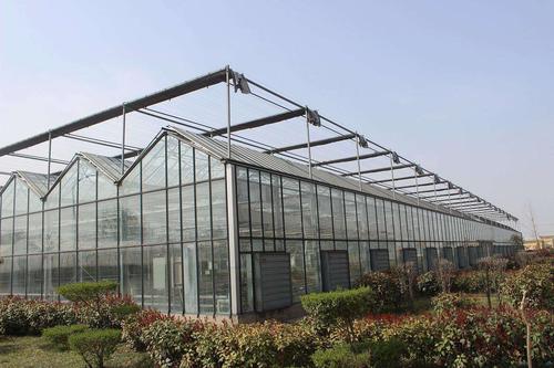 傳統(tǒng)的農(nóng)業(yè)與溫室大棚有什么區(qū)別，春季應(yīng)該如何進行通風(fēng)管理