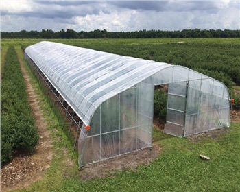 傳統(tǒng)的農(nóng)業(yè)與溫室大棚有什么區(qū)別，春季應(yīng)該如何進行通風(fēng)管理