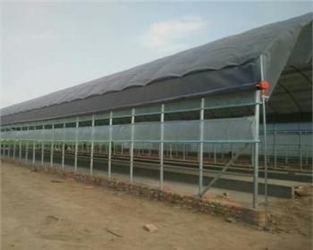 建四川養(yǎng)殖大棚用什么材料便宜且質(zhì)量好？