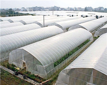 一起來看看四川蔬菜大棚種植知識，這七點(diǎn)你必須知道！