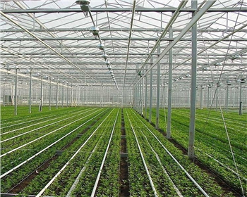 在四川溫室大棚內(nèi)的光照控制和調(diào)節(jié)如何實(shí)現(xiàn)？